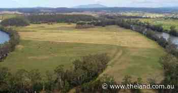 Picturesque Greenway Farm delivers grazing reliability
