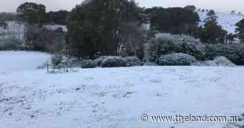 Light snow reported at Sunny Corner and Oberon, -6 morning looming