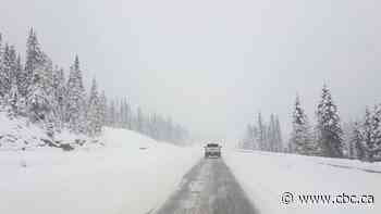 Weather warning remains in place for Alberta highway as snow blankets mountain region