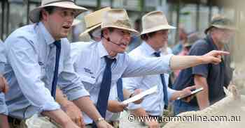 Restocker lamb prices bump up