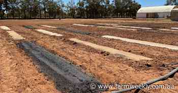 Novel idea for improving soil health