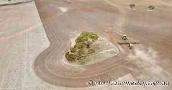 Communities get into the cropping spirit