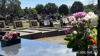 Charity running Sydney's Catholic cemeteries reprimanded for refusing to open its books for audit