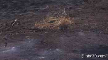 Fresno Fire investigating several highway fires