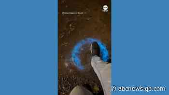 WATCH:  Man finds ‘Avatar’-like bioluminescence in Australian creek