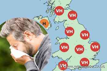 Met Office warns north west over 'very high' pollen