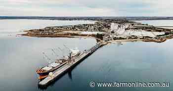 New player enters the export market