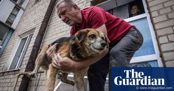 Ukraine war: saving animals from the flood waters of Kherson – video