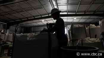 Mining company plans lithium processing plant for Thunder Bay