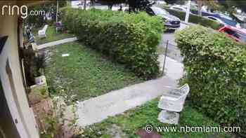 ‘Help me, he has a gun!': Ring video captures apparent kidnapping in Miami