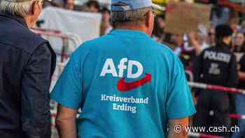 Deutscher Verfassungsschutz: AfD «sehr stark von Moskau beeinflusst»