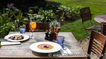 Chelsea Physic Garden celebrates 350 years with summer programme