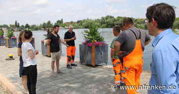 Kitzingen: Das Promenaden Weinfest steht in den Startlöchern - das wird geboten