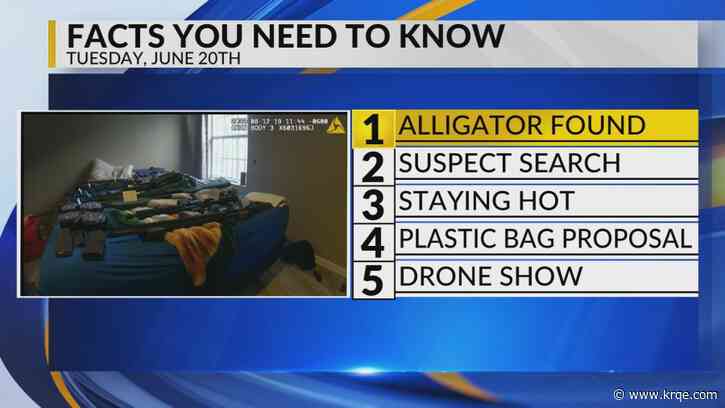 KRQE Newsfeed: Alligator found, Suspect search, Staying hot, Plastic bag proposal, Drone show