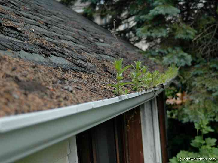 Houseworks: Old house problems not necessarily serious