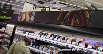 Seagull got stuck in Asda Bedminster two weeks ago and still hasn't left