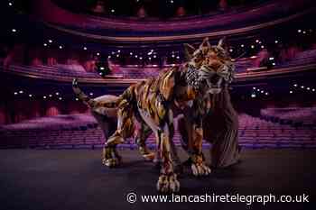 Life of Pi tiger is star of most watched video in the world