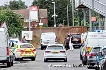 Belvedere station: Person dies after being hit by train