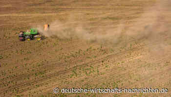 Verband: EU-Feldzug gegen Pflanzenschutz führt zu Ernteausfällen