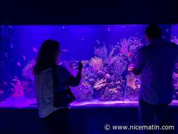 On vous fait visiter l'espace mer et littoral du Cap d'Antibes qui a enfin ouvert ses portes