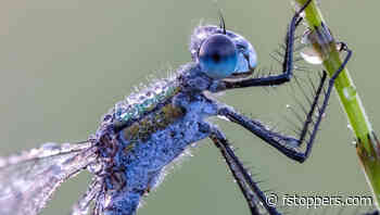 3 Reasons Budding Photographers Fail