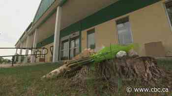 'Everyone knows someone': Dauphin community grieves, copes in wake of fatal Manitoba crash