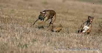 Hare courser banned from entering East Yorkshire loses appeal and hit with big fine
