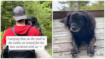 Eine bittersüße Abschiedsreise für Hund Hugo - Emotionales Video auf TikTok