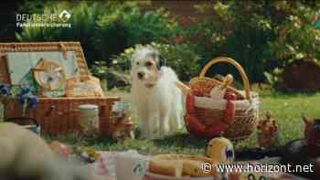 Vierbeiner beim Picknick: So niedlich wirbt die Deutsche Familienversicherung für Tierversicherungen