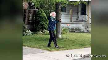 Hamilton police working to identify sexual assault suspect who was caught on video