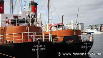 Island setzt Walfang wegen Tierschutzbedenken aus
