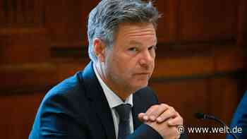 Habeck verteidigt hohe Subventionen für Intel-Fabrik