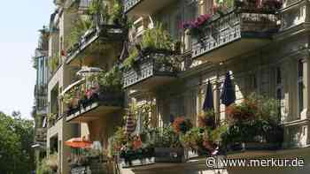 Welche Pflanzen auf dem Balkon verboten sind – Die Gesetzeslage ist eindeutig