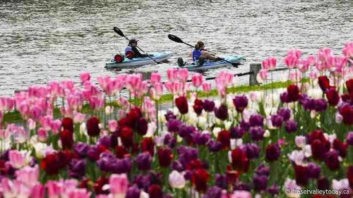 IMF applauds Canada’s climate action, warns of ‘race to the bottom’ with subsidies
