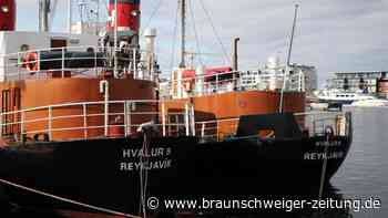 Island setzt Walfang wegen Tierschutzbedenken aus