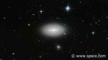 The loneliest monster black holes may also be the hungriest