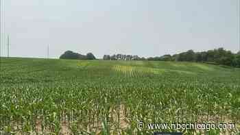 Chicago-area drought conditions expected to continue. Here's what we know