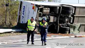 Urgent review ordered into NSW bus safety after fatal Hunter Valley crash
