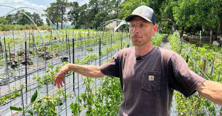 'Chemical Attack' Leaves Farmer Devastated: 'This Is Not Just My Livelihood We're Talking About'