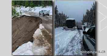 Snow what? Wild June weather wallops western Alberta, tourists rescued in Jasper