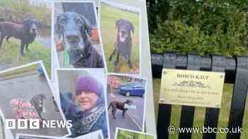Plaque unveiled in memory of dog who inspired litter picking group