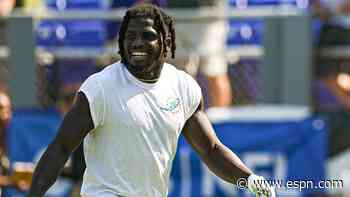 Dolphins' Hill investigated in alleged altercation