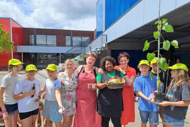 Zonnebloemen groeien en bloeien op Spoeleschool