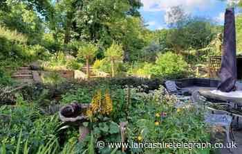 Stunning garden at 16th century Colne hall opens to public