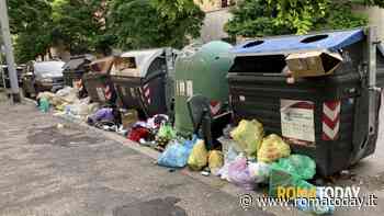 Lettori - Via fogliano