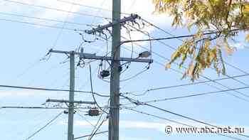 Ten per cent power price increase a 'massive blow' for struggling households