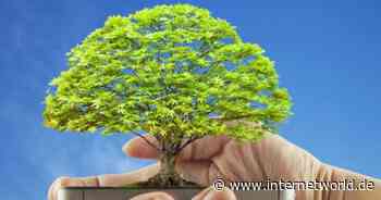 Unternehmen setzen auf Nachhaltigkeit, doch es fehlt an der Strategie