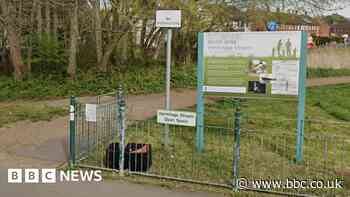 Murder arrest after man's body found in Leigh Park stream
