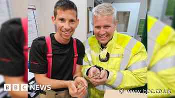 Longmoor: Crews save nest of chicks at MoD firing range blaze