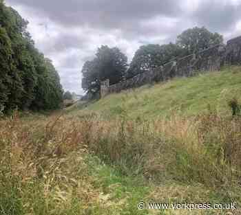 'York's overgrown city wall embankments are a disgrace’